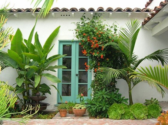 Plantas, un toque más que tropical a tu jardÃn. Diseño Tropical Jardín