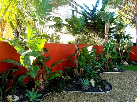 Plantas, un toque más que tropical a tu jardÃn. Diseño Tropical Jardín