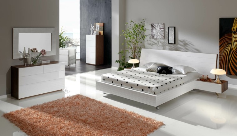 Habitaciones modernas para solteras y solteros.