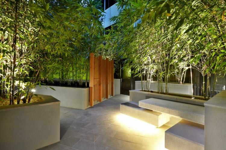 Cañas de bambú para decorar patios y terrazas