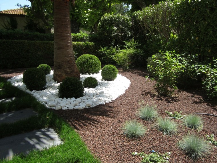 Plantas ornamentales jardÃn natural ideas preciosas