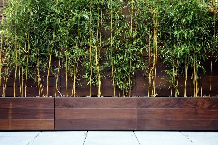 Cañas de bambú para decorar patios y terrazas