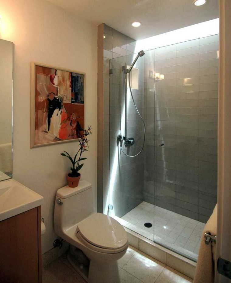 Baños pequeños con ducha - 38 diseños de moda