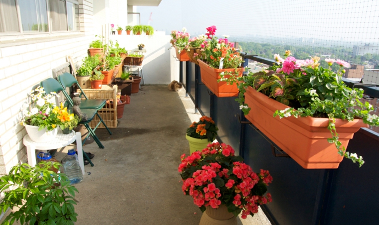 Flores bonitas y plantas para el balcón o la terraza Decoración Estrecho Balcón