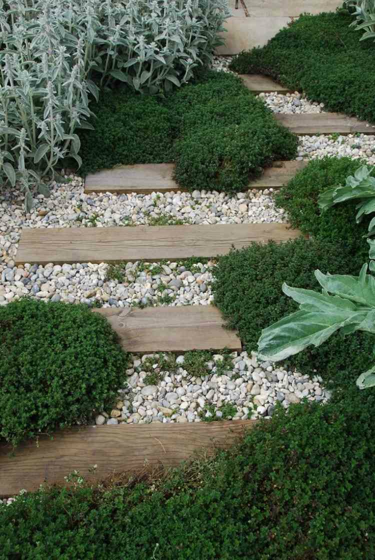 Grava y plantas para jardín - 37 ideas paisajísticas modernas