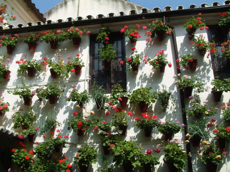 Decoracion andaluza motivos, patrones y colores con encanto Covered patio decoración