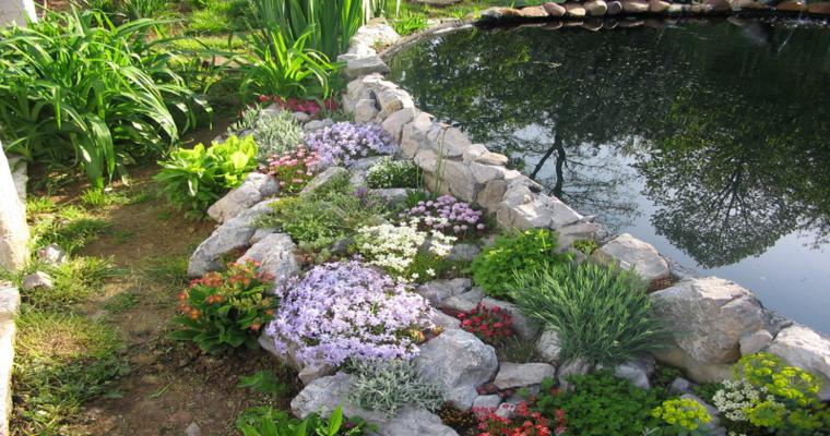 Rocalla en el jardín - cincuenta ideas decorativas geniales