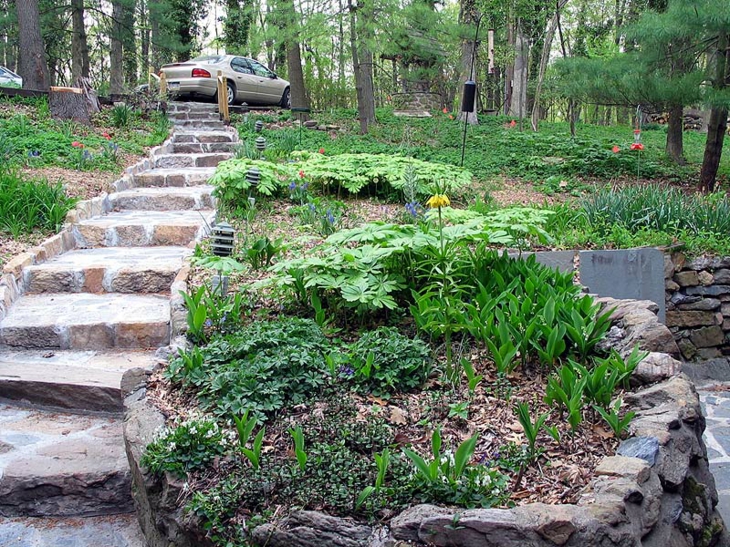 Pendientes paisajismo en 75 ideas de diseños increíbles.