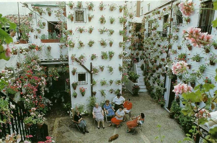 Fachadas y muros exteriores ideas de diseño y decoración Covered patio decoración