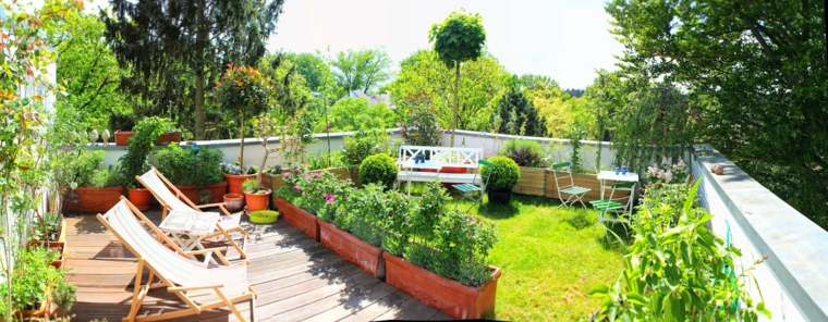 La azotea y como llenarla de plantas en 26 ideas