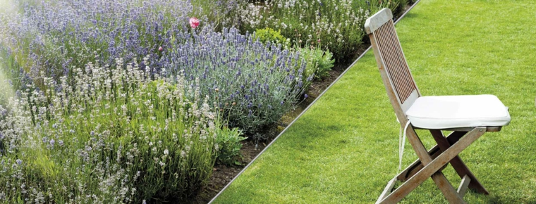 Bordes y separadores para parcelas de jardines - 24 ideas