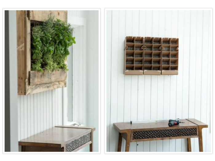 Hierbas aromaticas en impactantes jardines verticales