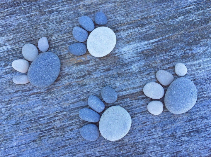 interesantes formas en suelos rocas muro decoraciones imagenes huellas