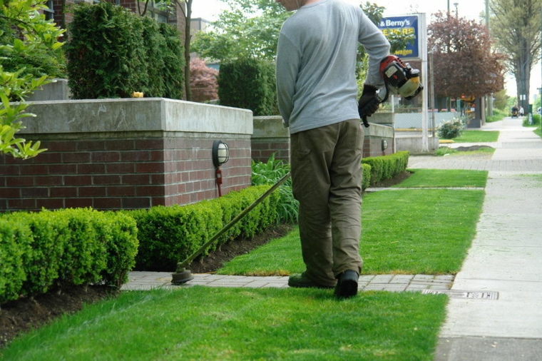 mantenimiento-de-jardines-recogida-hirbas-paredes