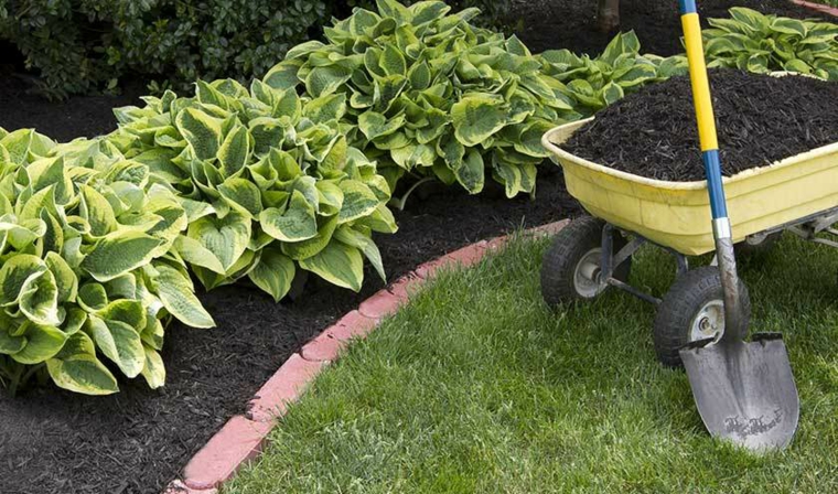 mantenimiento-de-jardines-simples-contrastante-mantillo-rico