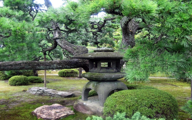 arbol jardín zen rocas cesped