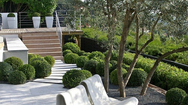 balcon contenedores plantas macetas xeriscape