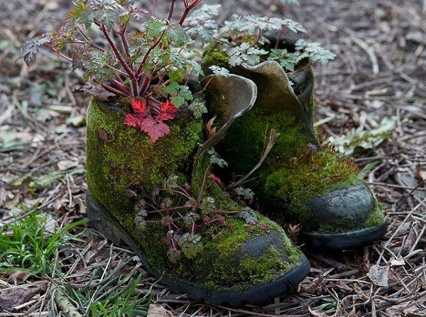 botas macetas jardin plantas decoracion