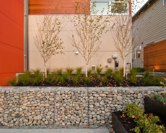 casa patio contraste rocas jardin