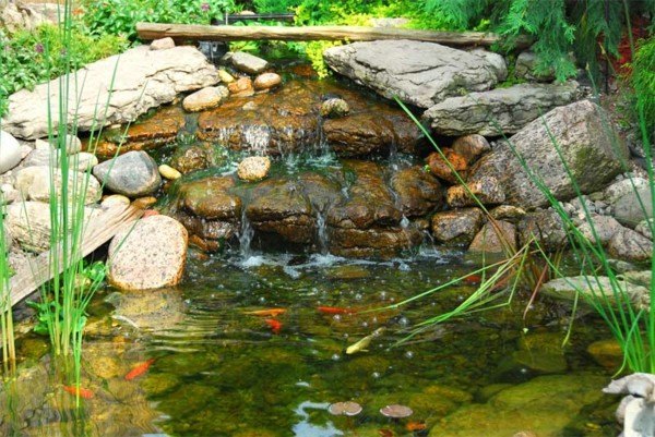 cascada estanque jardin piedras peces