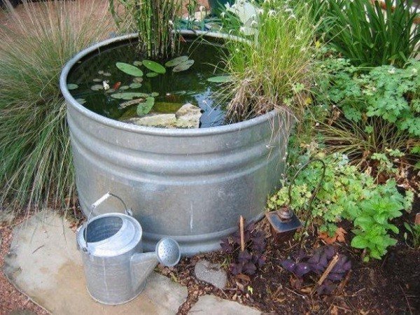 contenedor  DIY plantas agua regadera plantas
