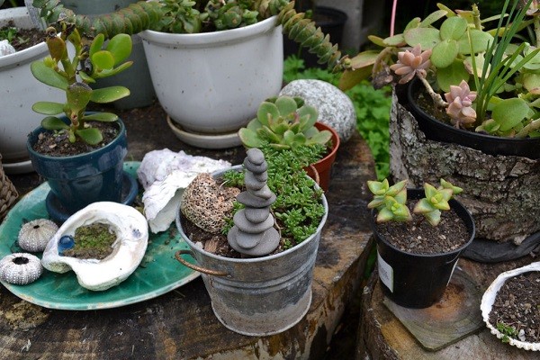 cubo maceta envase plantas diseño manualidades