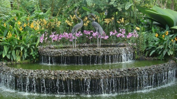 espectacular catarata redonda jardín plantas