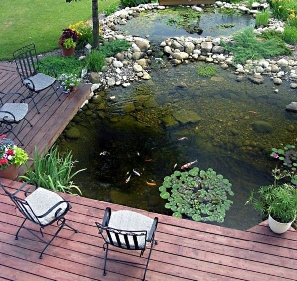  estanque de jardin trasero radiante con peces