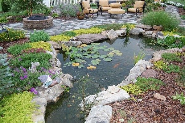 estanque de jardin  plantas de colores llamativos irregular grande