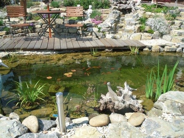 estanque jardín madera flotante decoración