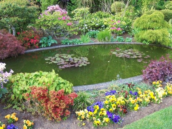 estanque jardín  rodeado flores colores