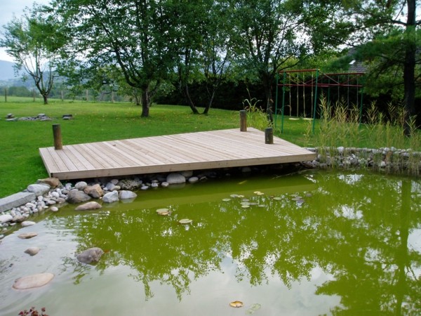 estanque pantano jardín plataforma madera