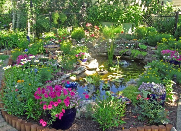estanque precioso muchas flores colores