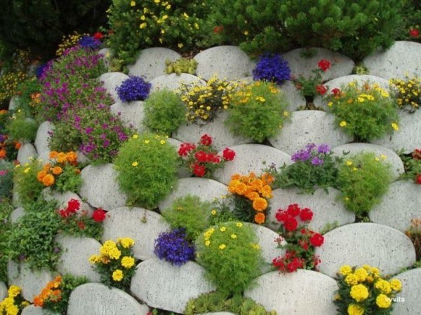 flores maceta piedra paisajismo colores
