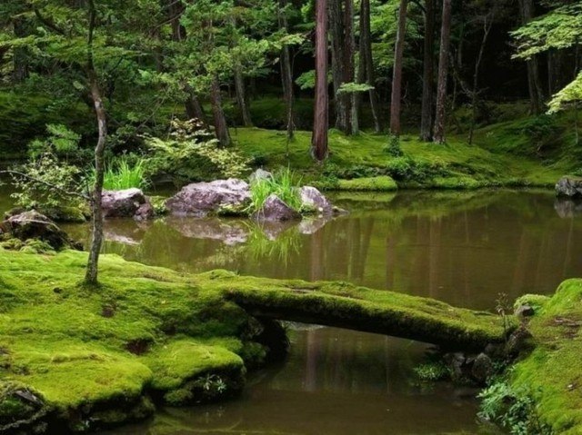 folosofia zen diseño jardin moho lago grande
