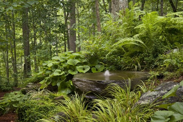 fuente natural roca grande plantas