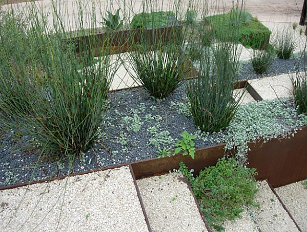 grava plantas xeriscape diseño paisajismo