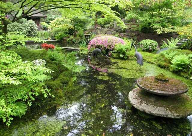 Jardín japonés, un refugio de paz al alcance de tu mano.