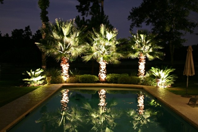 iluminación exterior palmeras luz piscina