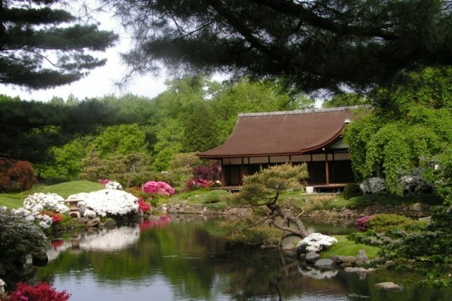 japonés lago jardín diseño casa arbol