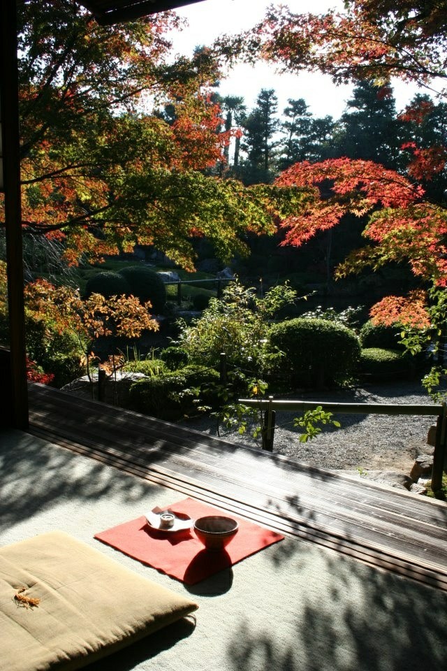 jardin filosofia zen meditación plantas vista 
