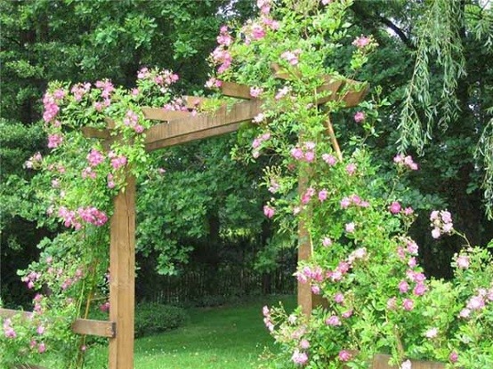 jardin flores programa patio decoracion diseñar