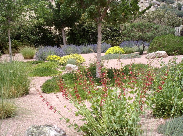 jardin paisajismo plantas flores diseño