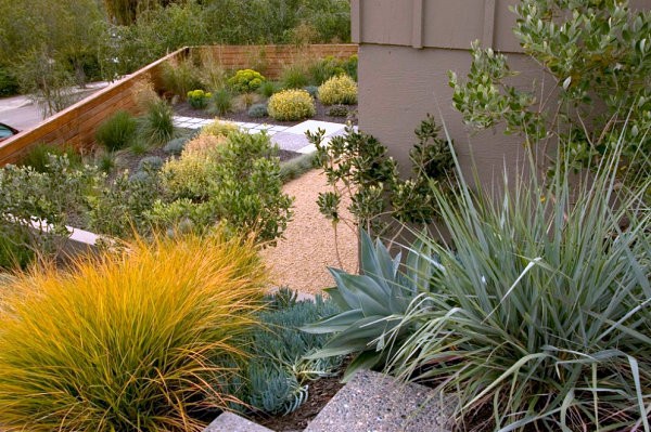 jardin paisajismo plantas riego moderno