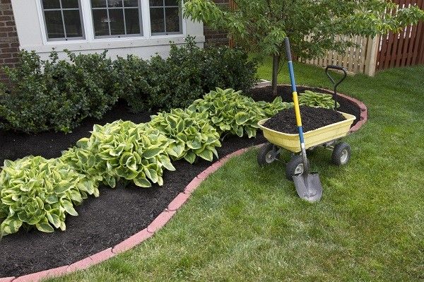 jardinera colores cesped plantas compost