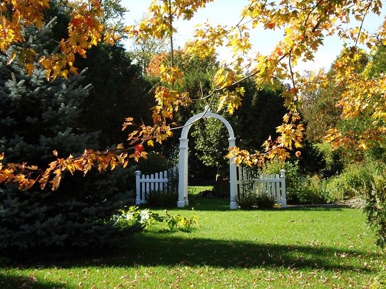 jardineria arco cesped plantas arco