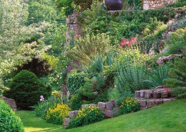 jardinería en pendientes bosque tupido flores rocas