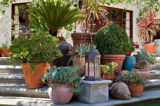 jardines plantas macetas muebles jardineria