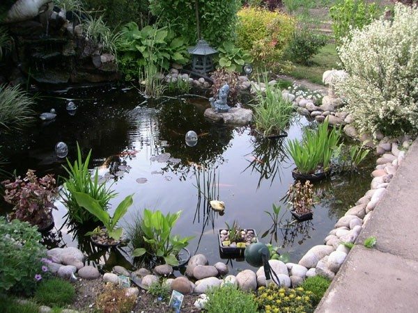 lago jardín esquina pequeño piedras