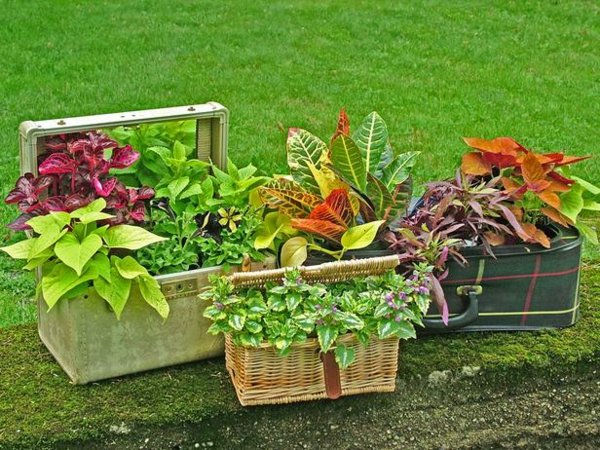 manualidades originales macetas diy plantas